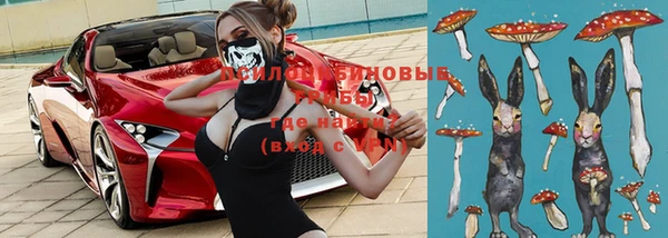 ГАЛЛЮЦИНОГЕННЫЕ ГРИБЫ Галич