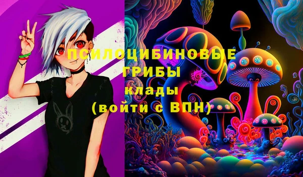 прущая мука Гатчина